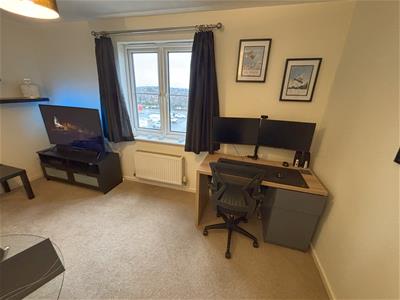 Picture 7